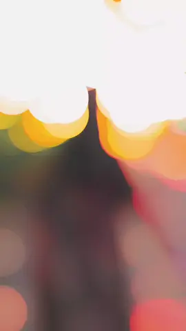 #TikToklover❤️ #viralTiktok #foryoupageofficiall #TikTokviraltrending #creatorsearchinsights #foryou2025❤️🔥 