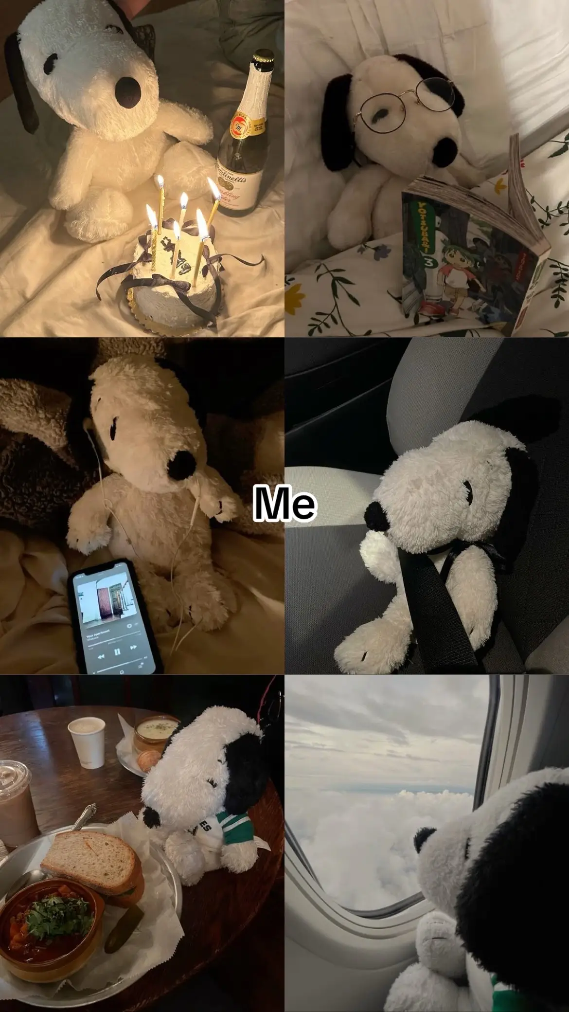 #zyxcba #fypシ゚viral #inlove #snoopy #us #woodstock #me #you #fyp 