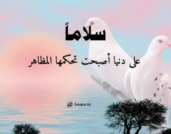 #سفير_الصمت📝🤍 