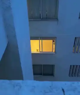 #funny #pet #kitty #cute #dog #doggie 