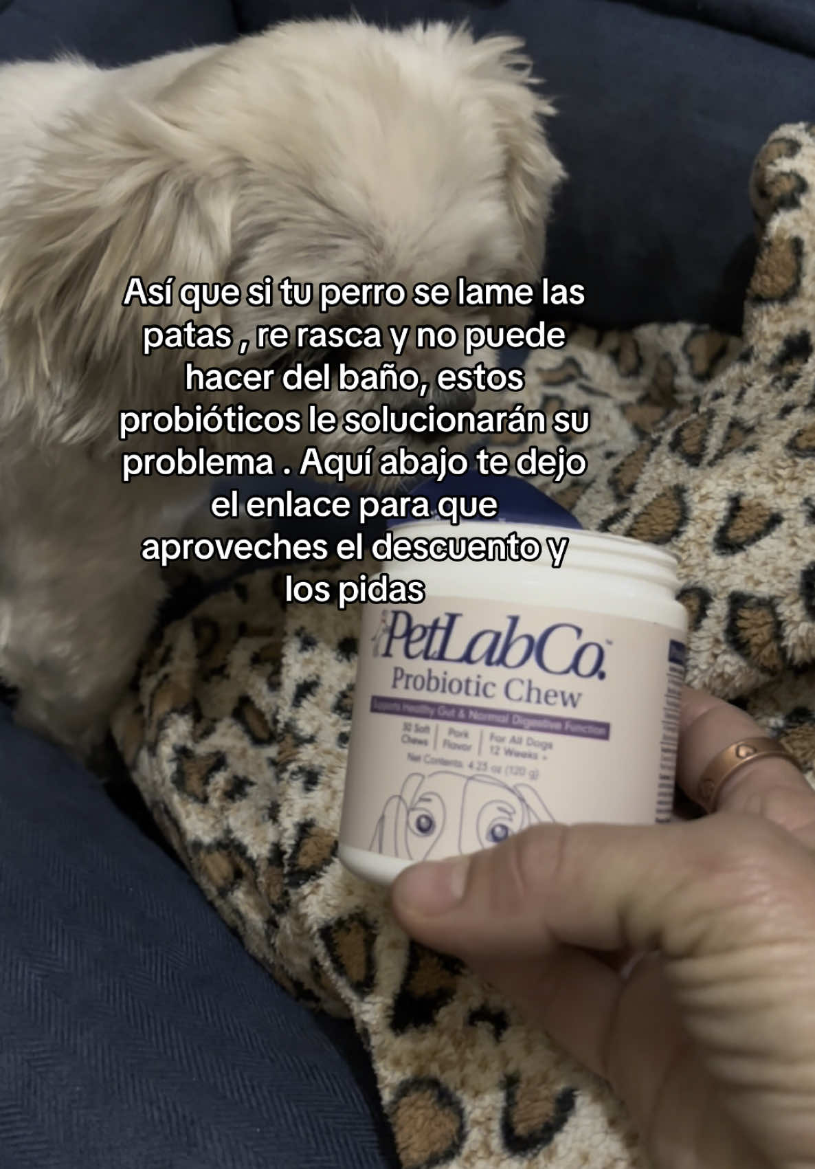 😱Lo mejor que le puedes dar a tu perro 🐕 son los probióticos, y realmente me encantan estos con grandes ingredientes! #DogHealth #ProbioticsForDogs #HealthyPets #PetCare#tikokshop #viral  #DogWellness@PetLab Co. 
