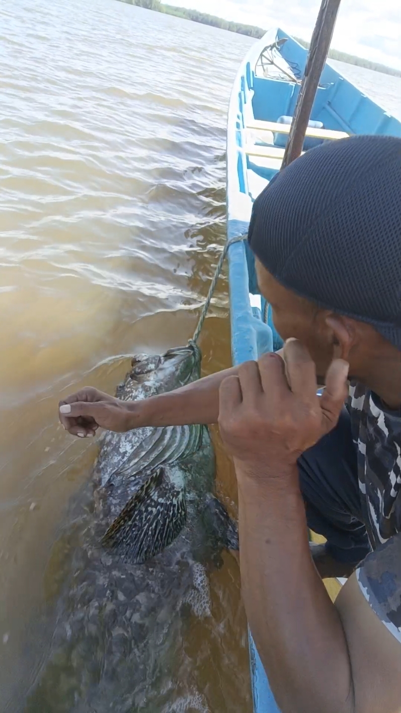 goyang asmara dulu 😄😄😄ipul