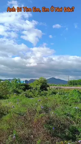 Anh đi tìm em! #anhditimem #timnhau #mienque #77binhdinh #tauhoa #hangkhong #hanghai #tauthuy #duongsatvietnam #nhacbolerotamtrang #nhachaymoingay #trendingsong #trendingsound #xuhuong2025 #thinhhanh2025 