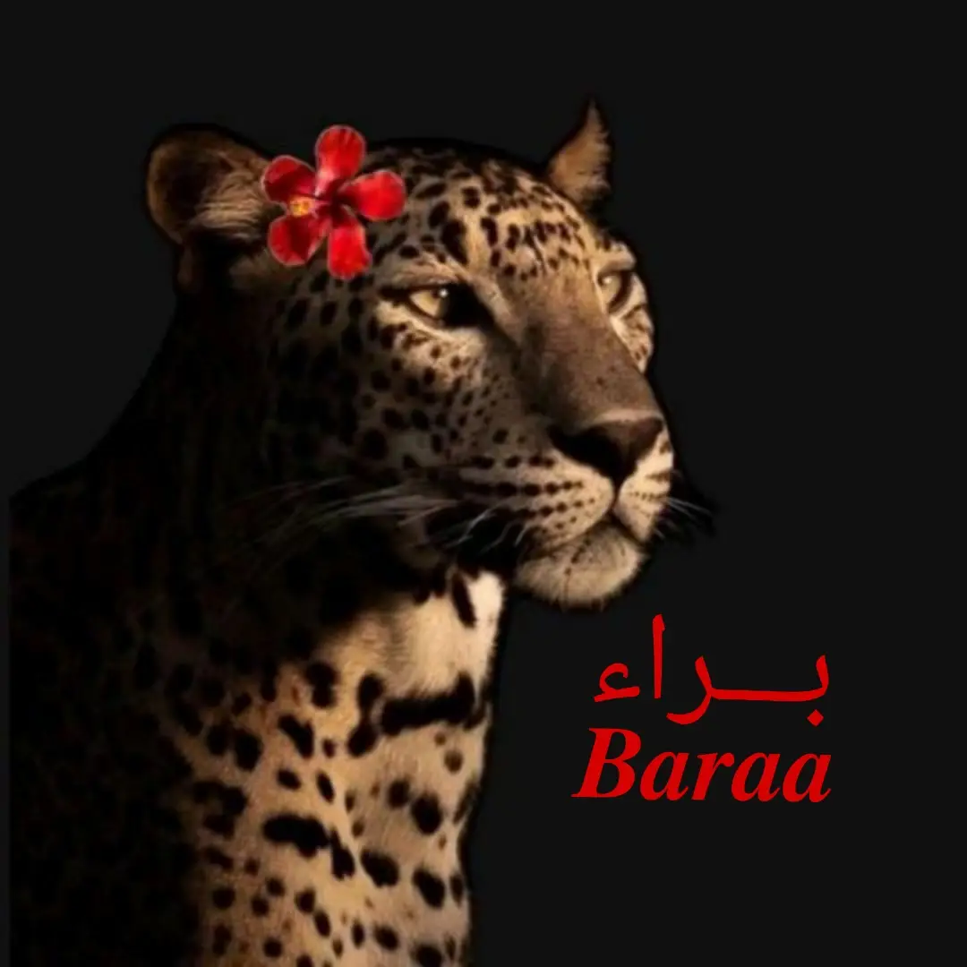 #اطلبوا_وتدللون🦋🧸 #جزء_ثاني بنات بس لايك وعلقي اكتبي اسمج وتدللين 🤍👍🏻
