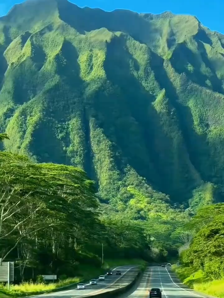 穿过旷野的风