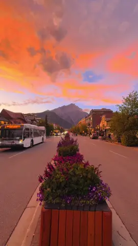 Summer night in Banff 💕#fyp #foryou #canada #banff #sunset #sunsetlover 