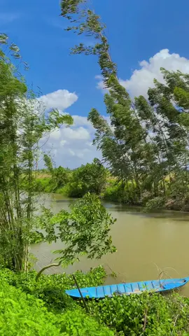 Chill chill wa lun ạ 🥰🥰🥰#nhachaymoingay #nhacnayhay #fyp #xuhuong #viralvideo #canhdepmientay #canhchillvungque🌾 #canhchill #67angiang #kiuctuoitho 
