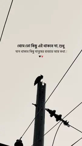 থেমে তো কিছু এই থাকবে না, শুধু মনে থাকবে কিছু মানুষের ব্যবহার আর কথা..!!🙂🖤#foryoupage #growmyaccount✅ #captionvideo #foryoupage❤️❤️ #trendingsong @TikTok Trends @TikTok 