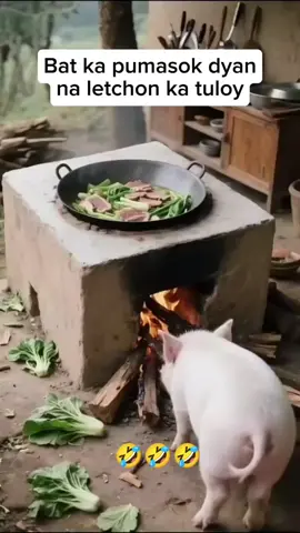 Na letchon ka lutoy 🤣 #funnyvideos #fyp 