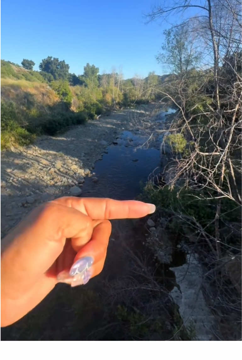 Steckel Park. 📍 8080 Mistletoe Rd, Santa Paula, CA 93060. Outdoor activities. #steckelpark #santapaulacalifornia #Outdoors #santapaulacreek #viajando_ala_naturaleza #nature  #placetovisit 