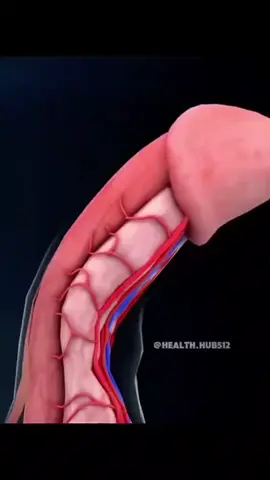 #fyp #foryou #foryoupega #viral_video #trend #trending #humor 