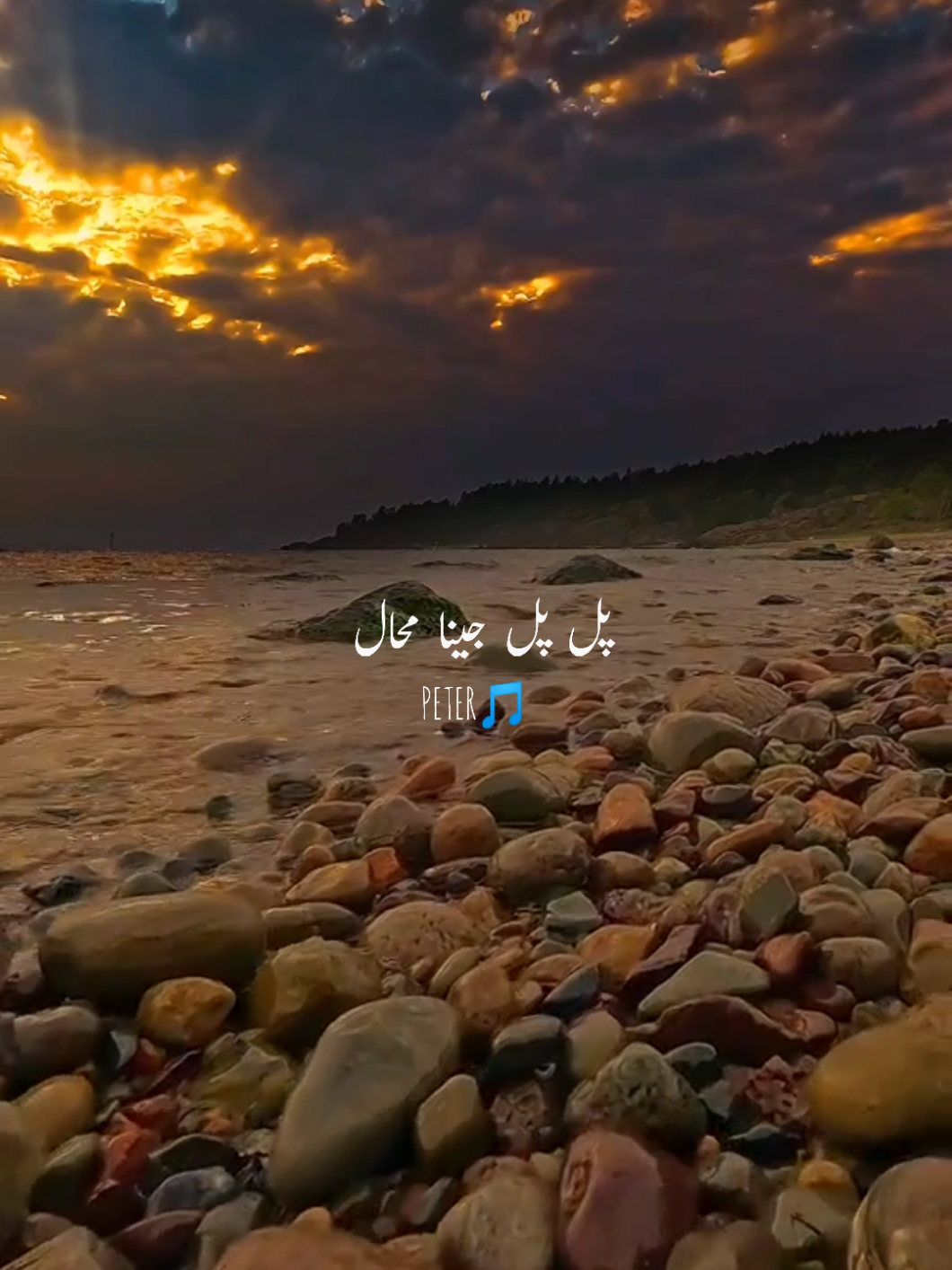 pal pal jena muhal🥺 #punjanisong #Repost #sadstatus #peter #sadsong 