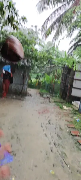নারকেল পড়েছে রে 