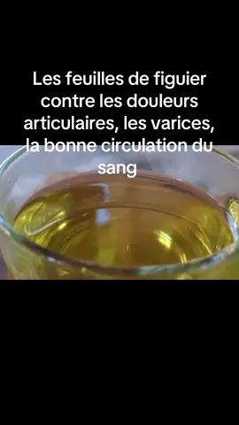 #conseil #feuille #info #santa #pourtoi #CapCut 