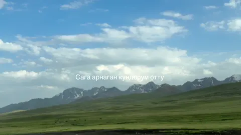 Мага чалба эми чалба, мага жазба эми жазба…                          #fyp #рек #бегиш #рекомендации #врекомендации #реки #хочуврекомендации #fyy #кыргызстан #вреки #жалалабад 