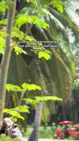 Semoga lelah ini membawa berkah🤲🏽#bismillahfyp #storysawit🌴 #petanisukses💪🌾🌿 #sawitborneo🌴 