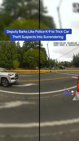 Deputy Barks Like Police K-9 to Trick Car Theft Suspects into Surrendering #cops #copsoftiktok 