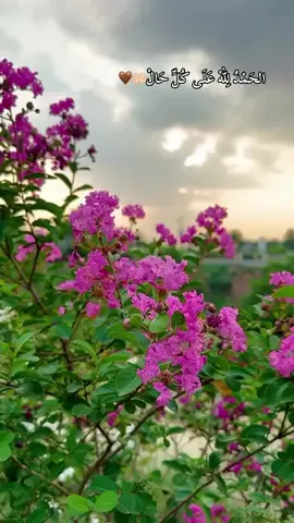 ‎الحَمْدُ لِلّهْ عَلَى كُلِّ حَالْ🤎🤲🏻#fypシ #tiktok #virall #selwa🦋 #foryou #explore 