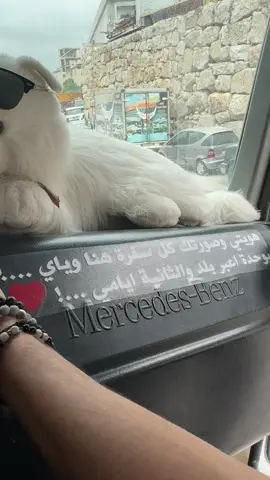 اي عبارة بتعجبك بعتلنا ياها نطبعها🙏 توصيل الى كل لبنان🇱🇧 📞 81 249 867 حالات-طريق قرطبا المدينة الصناعية #marcghanem_ #شاحنات_مرسيدس_بنز🇩🇪 #شاحنات_لبنان 