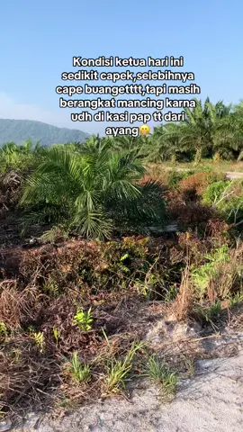Jadi tambah semangat#fypシ゚ #angler #fising #castingfishing🎣 #kalimantanbarat 