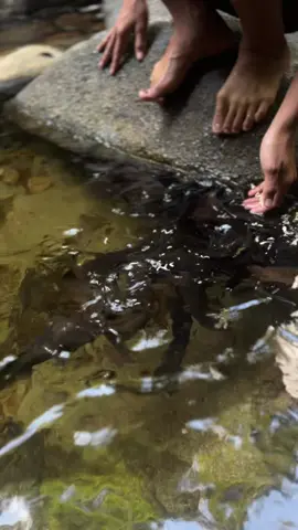 #leler liar#keramat #fyppppppppppppppppppppppp 