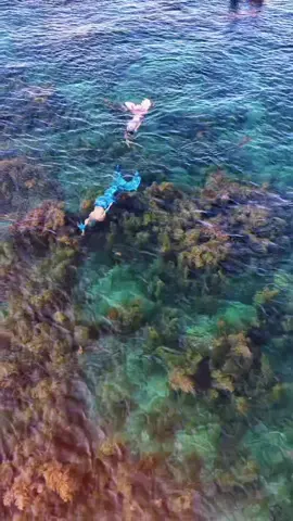 Năm nay e đi ngắm rong Hòn Khô Quy Nhơn hơi trễ nên ít rong áh 🤗  #hònkhoquynhon #vietnam #merman #mermaid #freediving#freedivingngsaigon #lặnbiển  #lặntựdo #thainuocbong  #lgbt 