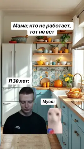 #мем #мама #работа #кот #кошка 