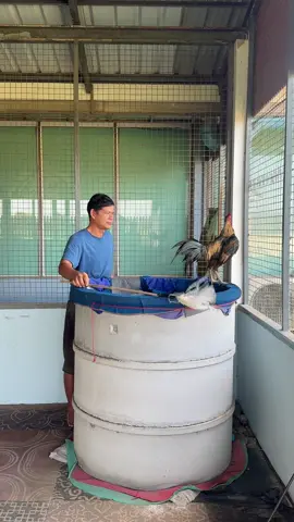 เจ้าเบเบ้…🤟🏻