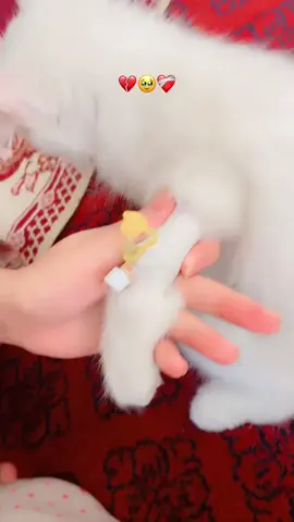 🤲🏻🥹