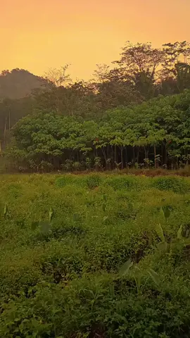 cuma DJ biasa kok☠️ #djold #nostalgia #vibes #vibes2019 #vibes2020 #dirumahaja 