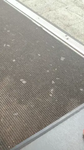 Only in Sunderland 🤣 #fyp #seagull #sunderland #funnytiktok 