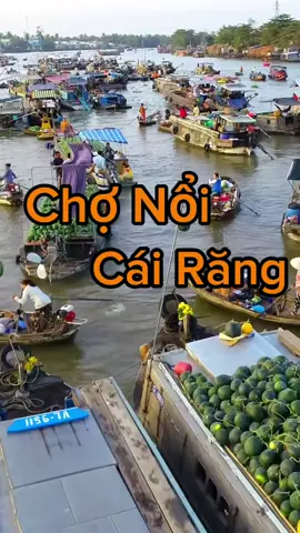 🌄Dậy sớm đón bình minh, trôi giữa chợ nổi Cái Răng, nghe tiếng ghe máy, mùi thơm bún riêu, lòng nhẹ tênh🍜🛶#tnbtravel #chonoicairang #cantho #viralvideo #ypf #xuhuongtiktok #dulichvietnam