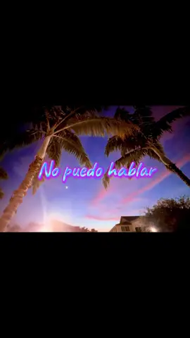 #soloconunbeso #ricardomontaner #baladas #musicaromantica #almasgemelas #amor #lyrics #canciones #nochedeverano #summernights #florida 