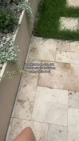 tak wysłałam to do przynajmniej trzech osób #ai #bunnies #króliki #viral #dc 