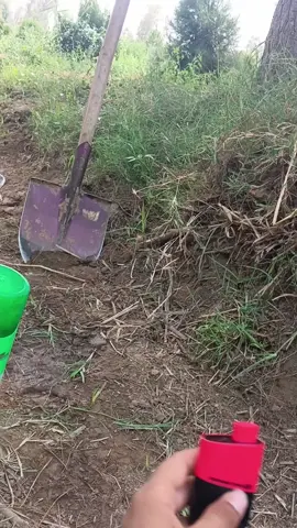 الشغل غابات الموصل #عراقي #موصل_بغداد_كركوك_حله_نجف_بصره #الرشيديه👑⚔️ 