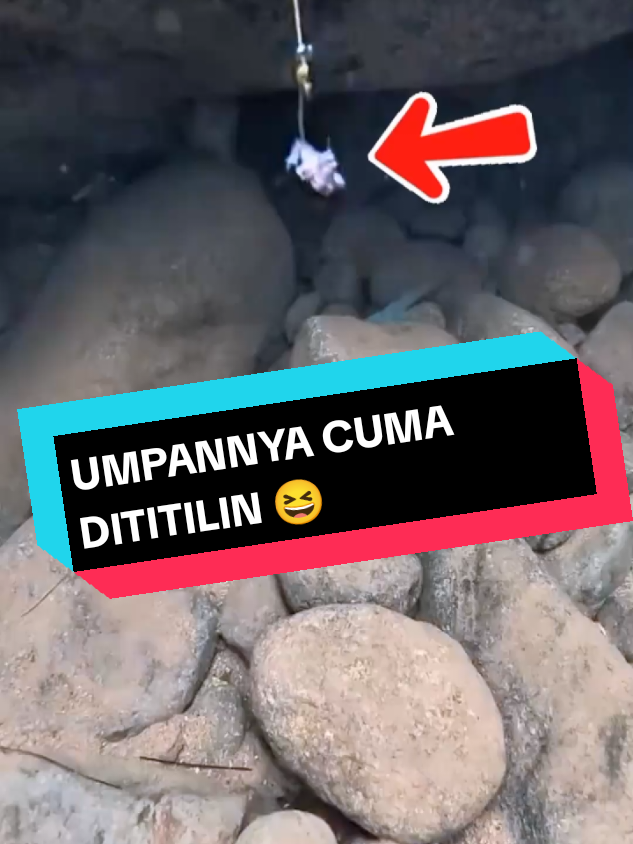 BENER GAK GUYS 🤔🤔  #mancingmania #mancing #hobimancing🐟🎣 #fishing 