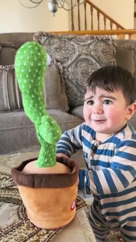 Suami saya membeli kaktus menari untuk anak saya. Ia menari dengan anggun, menyanyi dan bercakap. Apabila saya membersihkan, bayi saya bermain dengannya sendiri. Ia sangat menyeronokkan.