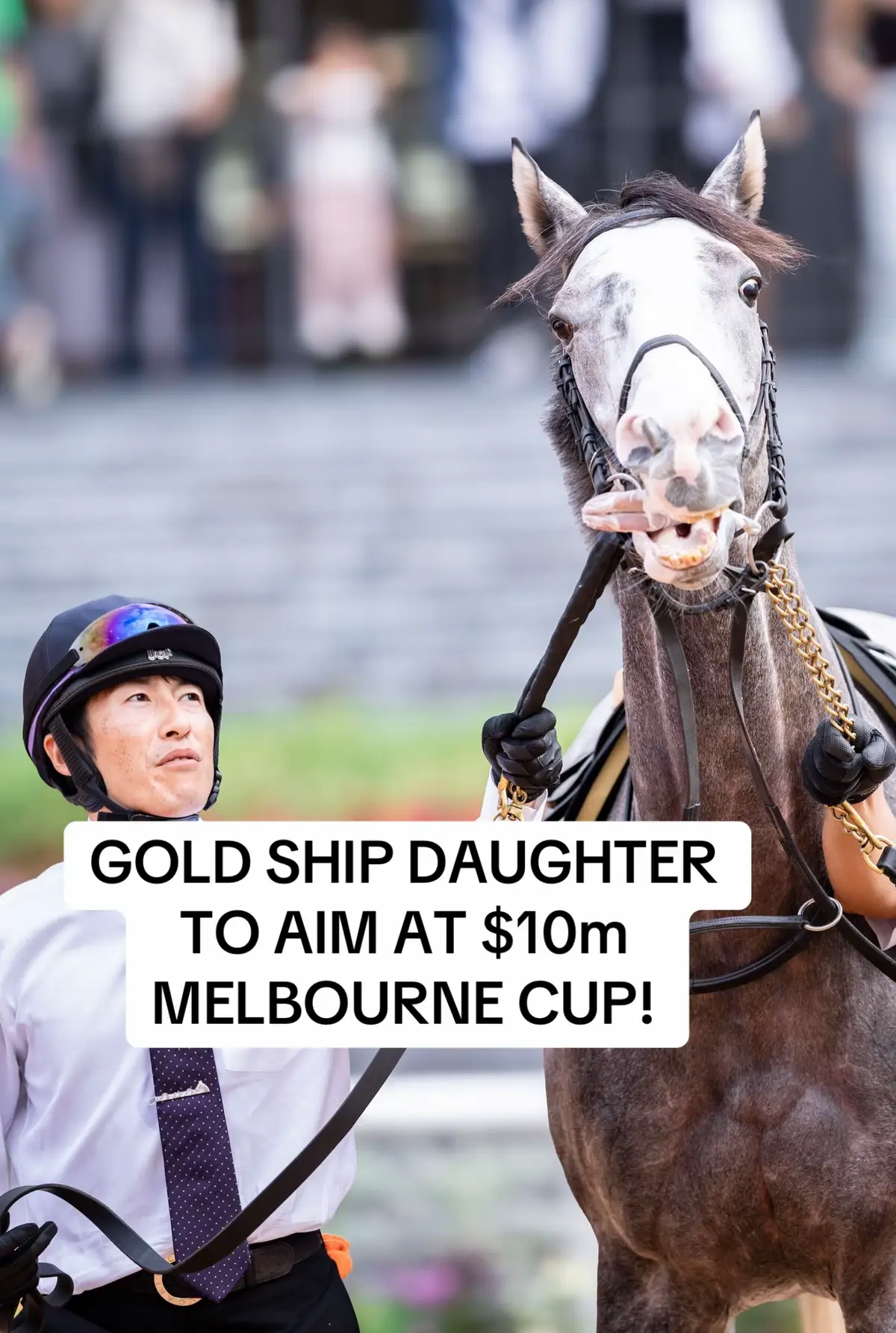 5yo Gold Ship mare Golden Snap will head to Australia to contest the 2025 G1 Caulfield Cup, with an eye to gaining entry to the $10m G1 Melbourne Cup!  #umamusume #umamusumeprettyderby #goldship #ゴールデンスナップ #ゴールドシップ #競馬 