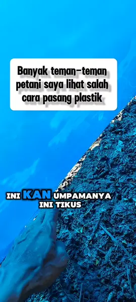 #plastikfiber #plastikpinian #pagartikus #plastiktikus #pagarsawah