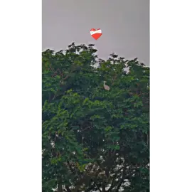 #fyp #foryoupage #plzviral🥺🥺🙏🙏foryoupage #plzsupport #pind #punjab 