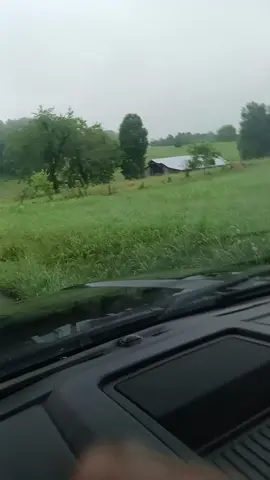 #Tennessee #deer #wildlife #animals #foryou #fyp #motivation 