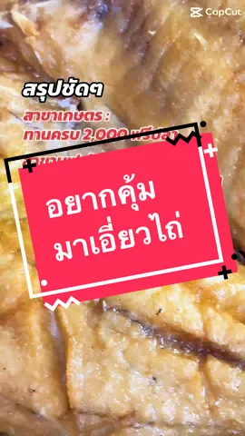 เลือกเลย อยากคุ้มที่ไหน ไปที่นั่น ตรวจสอบสาขาที่ร่วมรายการได้ที่หน้าโปรไฟล์เลย #เอี่ยวไถ่ไม่ใช่เอี่ยวไก่ #อร่อยบอกต่อ #อาหารจีน #อาหารไทย #เอี่ยวไถ่จัดให้หนัก #บุฟเฟ่ต์ #เอี่ยวไถ่เกษตร 