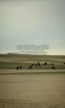 #اكسبلور #لايك_فولو 