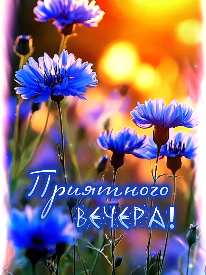#добрыйвечер 