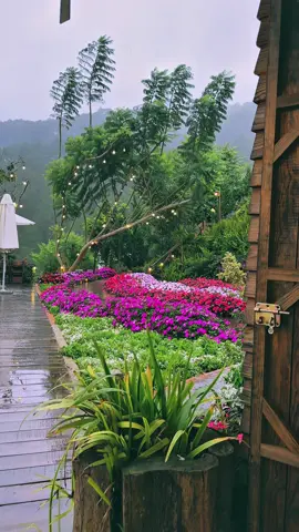 Có những ngày mưa Đà Lạt, ngồi bên ly cà phê nóng mà chỉ muốn có ai đó ngồi cùng. #dalat #reviewdalat #thenhthang #caphethenhthang #thenhthangcoffee 