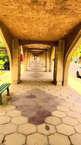 #رئاسه_الجامعه_تكريت #كليه #مركز_الطلابي_جامعه_تكريت #كليه_الشريعه #بغداد_بصرة_موصل_الكويت_الخليج_دبي_ #الصيدله #كليه_الطب_البيطري_جامعه_تكريت #جامعه_تكريت #غابات_الموصل #كليه_التربيه_للعلوم_الصرفه 