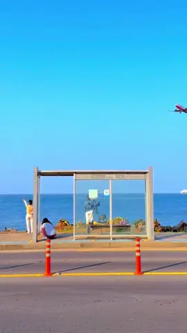 🌞#korean #kdrama #jeju #fyp #광화문에서 #solotravel 