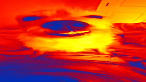 CACHORRO RINDO (COMPLETO) - ESTOURADO #memes #audio #brazil #loud #famous #video #meme 