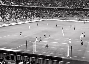 طول عمري بقول لانا قدّ الشوق، وليالي الشوق ولا قلبي قدّ عذابه . #ittihad 