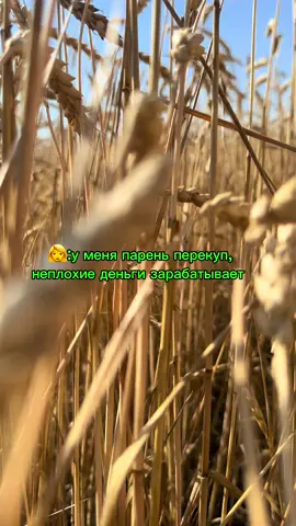 #156насвязи#работа#уборка2025